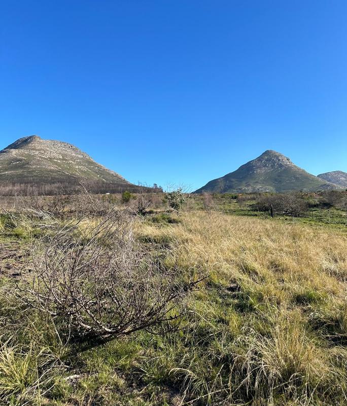 0 Bedroom Property for Sale in Kareedouw Eastern Cape